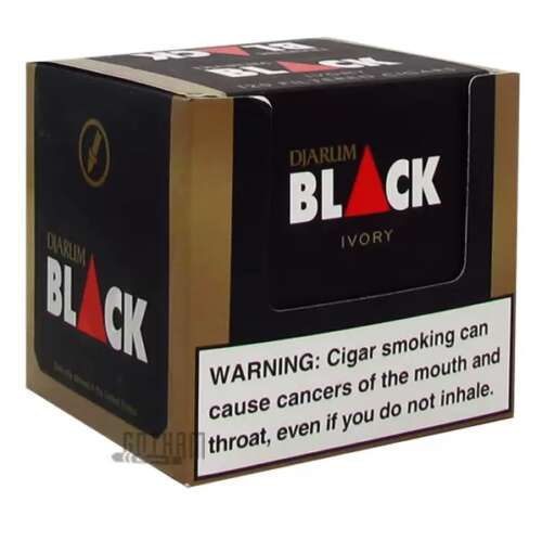 DJARUM BLACK IVORY 12/10PK