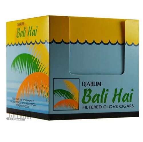 DJARUM BLACK BALI HAI 12/10PK