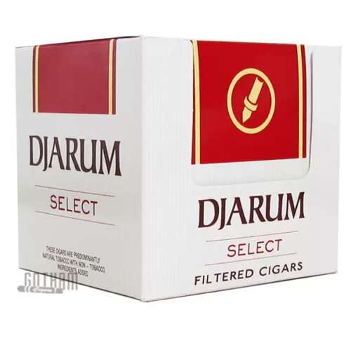 DJARUM SELECT 12/10PK