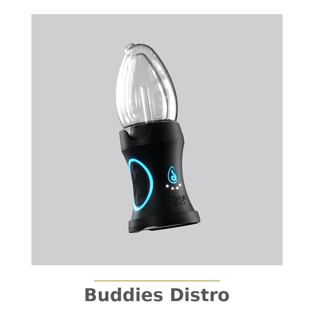 DR DABBER BOOST EVO EGG