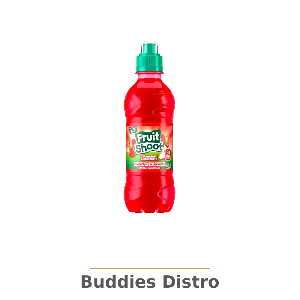 FRUIT SHOOT STRW RAZ 10.1OZ/24