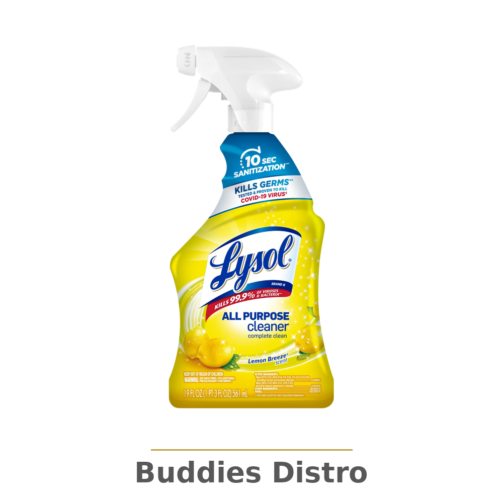 LYSOL ALLL PURPOSE CLEANER 1CT