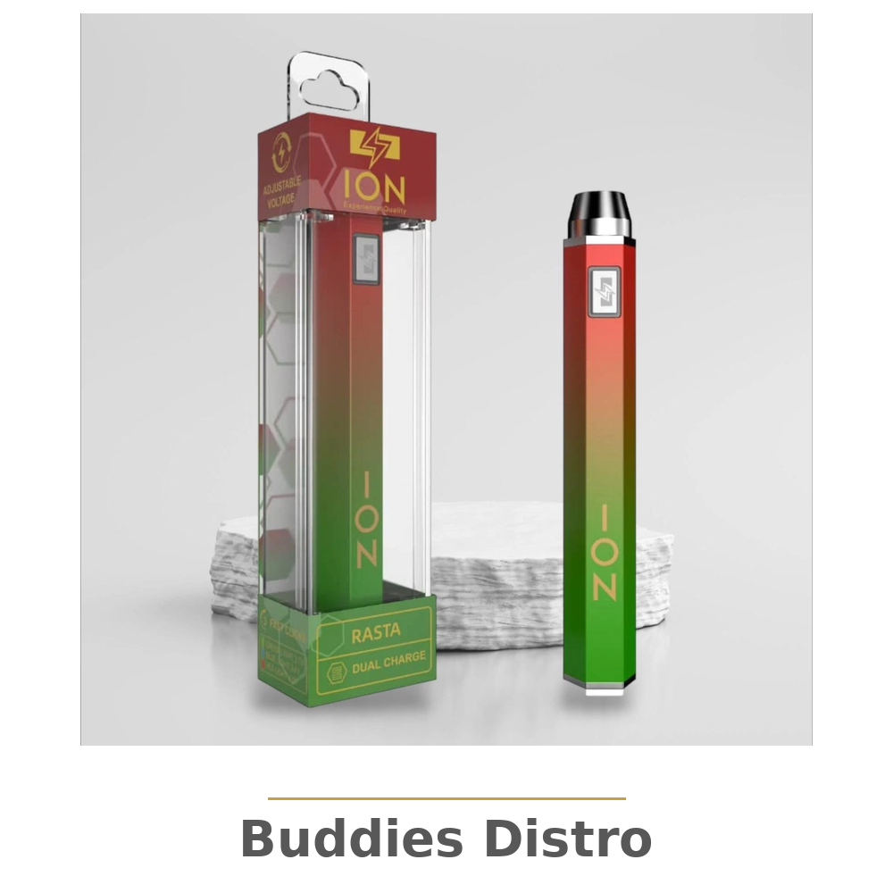 ION RASTA 1100 MAH 1CT